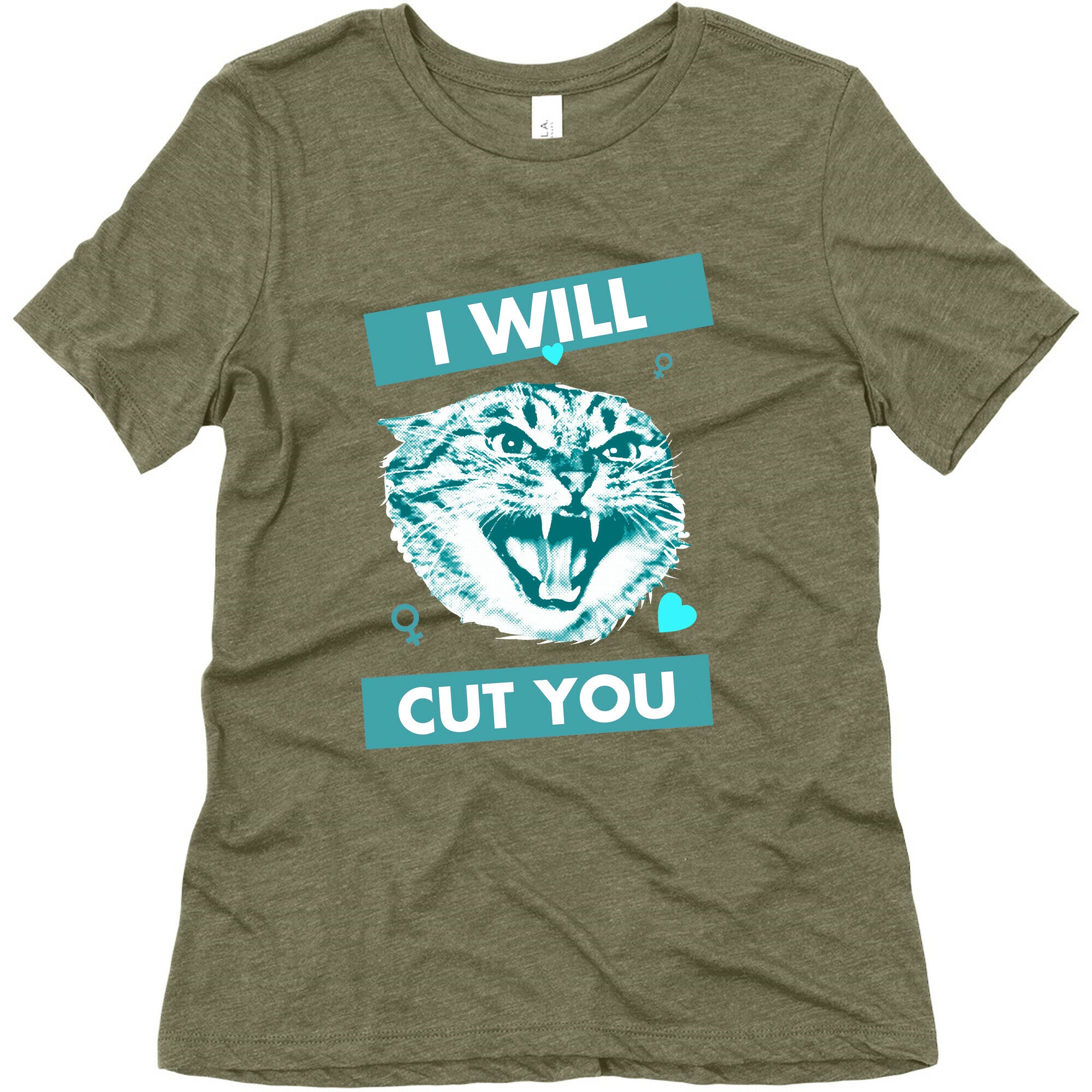 I Will Cut You Women's Triblend Tee